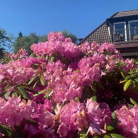 Ferienwohnung 4- Düna Wangerooge
